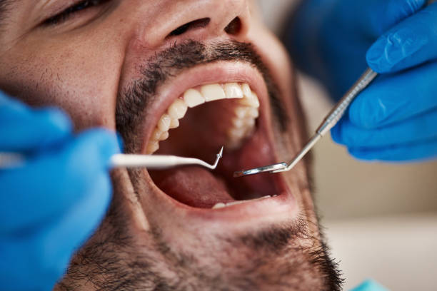 Professional Holistic Dental Care Services in White Horse, NJ